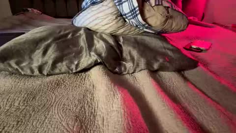 Amber  -   or vip  online show from February 2026 11:51:01 AM