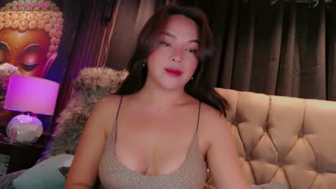 HAYFA online show from March 2026 05:37:02 AM