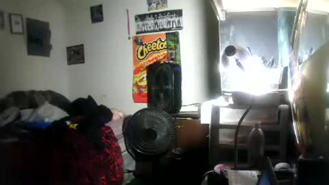 Snapshot of hbdj2164 chatting on January 2026 05:44:01 AM hbdj2164 online show from January 2026 05:44:01 AM