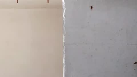 heaven_07 online show from March 2026 11:36:02 AM