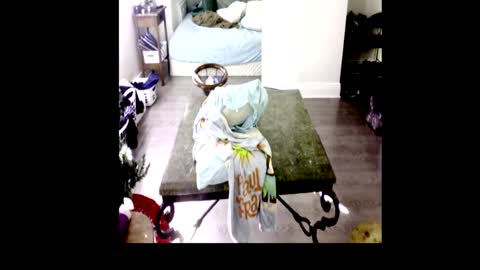 HenryFlapper online show from January 2025 07:44:02 PM