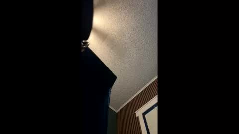 Snapshot of hentai_kittyxx chatting on May 2026 12:06:01 AM Hentai KittyXx online show from May 2026 12:06:01 AM