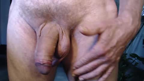 Herbie online show from May 2026 01:17:02 PM