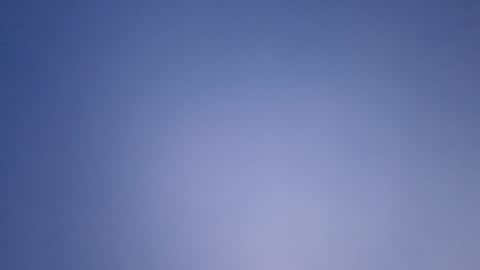 here4aquicky online show from June 2026 12:08:01 PM