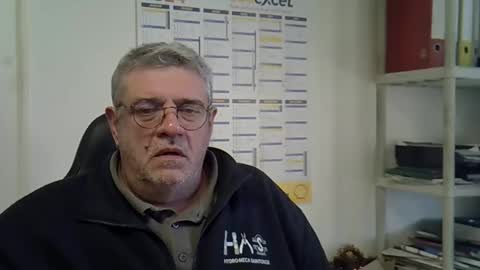 hippo online show from December 2024 09:59:02 AM