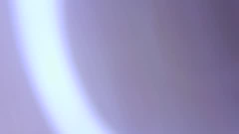 hofnung online show from April 2026 10:29:02 PM