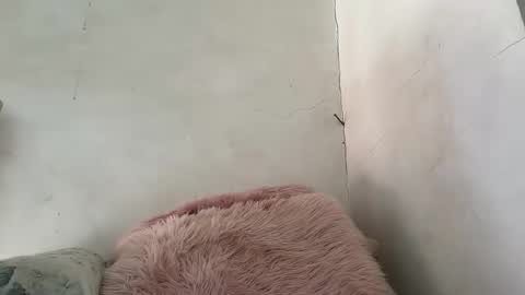 holly_wyn online show from March 2026 12:15:01 AM