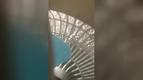 honesti_pretty online show from February 2026 07:15:02 PM