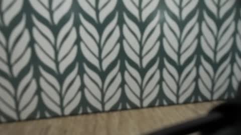 Jan online show from January 2025 08:49:02 AM