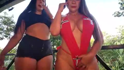 kittens online show from July 2026 12:08:01 PM