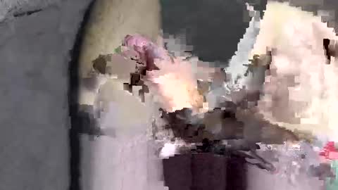 Huge dick online show from December 2025 06:03:02 PM