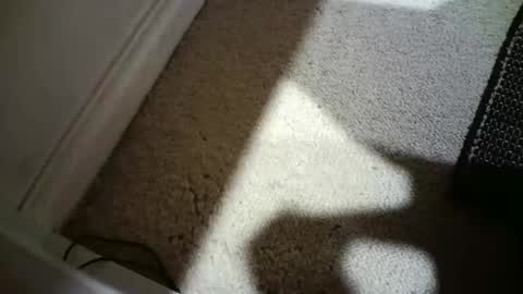 Hypeman online show from February 2026 08:32:01 AM