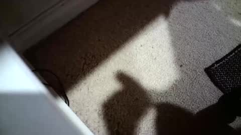 Hypeman online show from April 2026 05:23:01 AM