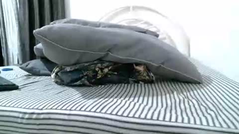 iam_mistress_dominatrix online show from April 2026 03:54:02 AM