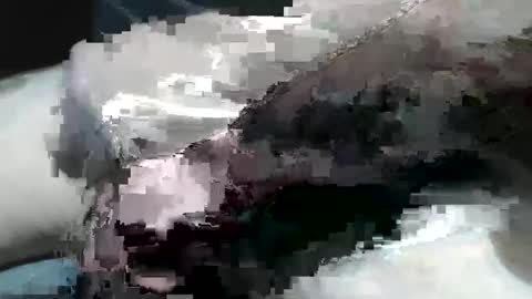 Snapshot of iamdevilish99 chatting on December 2024 10:12:01 PM iamdevilish99 online show from December 2024 10:12:01 PM