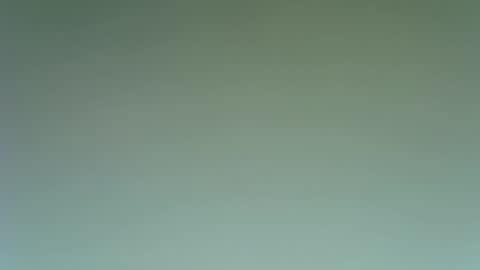 Snapshot of idkwhattowatch chatting on December 2024 09:08:01 PM idkwhattowatch online show from December 2024 09:08:01 PM