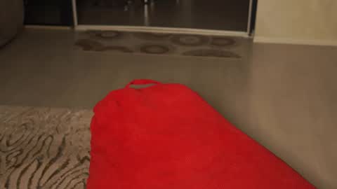 Little Flower online show from April 2026 07:58:02 PM