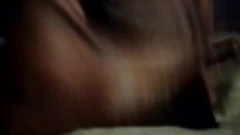 ihktqjtwzczh online show from February 2026 12:05:02 PM