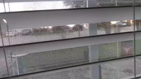 Michael online show from January 2025 10:56:02 PM