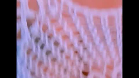 indianroxy27 online show from December 2025 08:14:02 PM