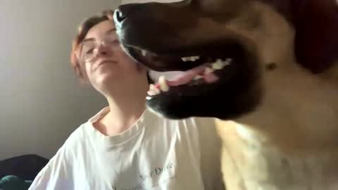 IntoTheWoodsWeGo online show from May 2026 01:39:01 PM