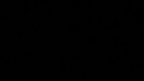 Snapshot of iridisit chatting on July 2026 08:55:02 PM iridisit online show from July 2026 08:55:02 PM