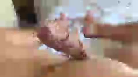 italianxsalami online show from July 2026 03:07:02 PM
