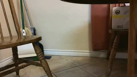 itsjustmehere online show from May 2026 11:27:01 AM