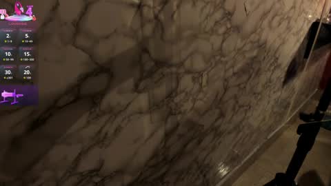 Ivis  online show from April 2026 12:19:02 PM