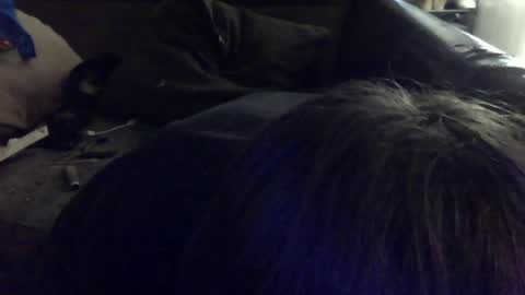 iwillsuckmyowndick online show from May 2026 07:01:02 PM