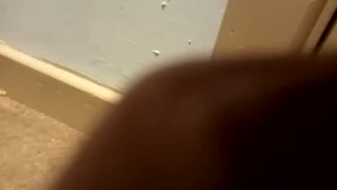 j434934 online show from January 2026 07:28:02 PM