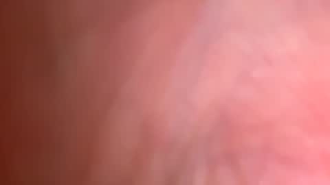 jackjackerman online show from May 2026 10:37:01 PM
