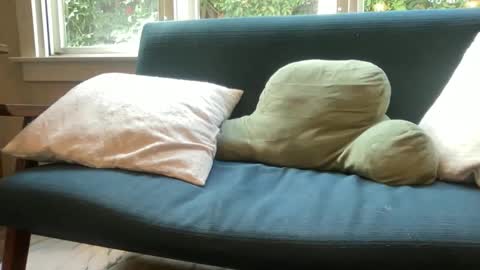 Snapshot of jackuraku chatting on December 2025 06:34:01 PM jack online show from December 2025 06:34:01 PM