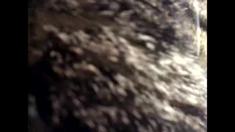 Jacob online show from March 2026 12:43:02 PM