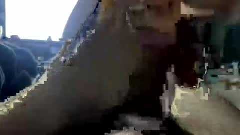 jalenwnut online show from May 2026 04:29:02 AM