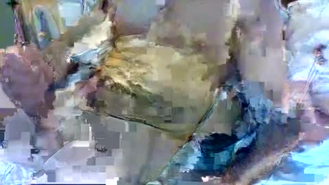 jameswhite5001 online show from February 2025 03:21:01 PM