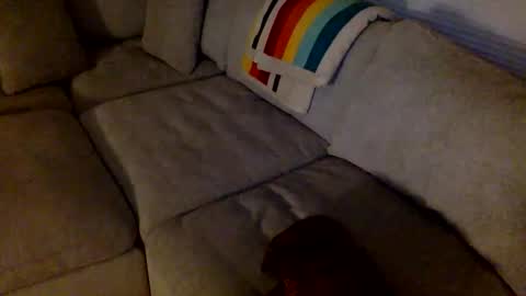 janicepepper online show from May 2026 08:54:01 AM