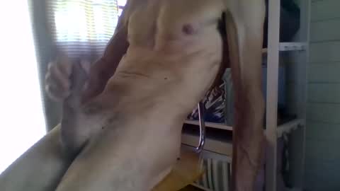 Snapshot of janzibor chatting on May 2026 02:02:02 PM janzibor online show from May 2026 02:02:02 PM