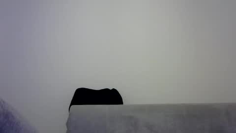 Snapshot of jaspal55 chatting on November 2025 02:04:01 PM jaspal55 online show from November 2025 02:04:01 PM