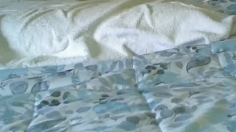 jaxman1952 online show from July 2026 09:02:01 PM