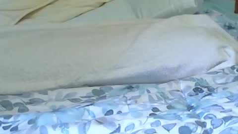 jaxman1952 online show from July 2026 04:58:01 PM