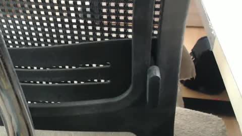 jc200000 online show from April 2026 05:25:01 PM