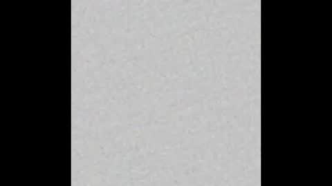 JcMax305 online show from March 2026 06:46:02 AM