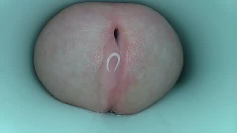 jeffrodgerschaturbat online show from March 2026 03:56:02 AM