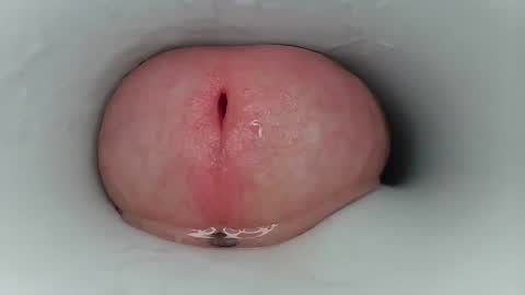 jeffrodgerschaturbat online show from March 2026 03:44:02 AM