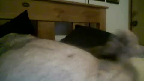 Snapshot of jerkmate6666 chatting on March 2026 11:44:01 PM jerkmate6666 online show from March 2026 11:44:01 PM