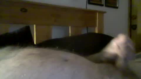 Snapshot of jerkmate6666 chatting on March 2026 09:32:01 PM jerkmate6666 online show from March 2026 09:32:01 PM