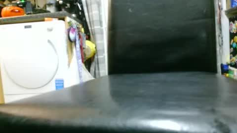 jez619 online show from November 2025 08:24:01 AM