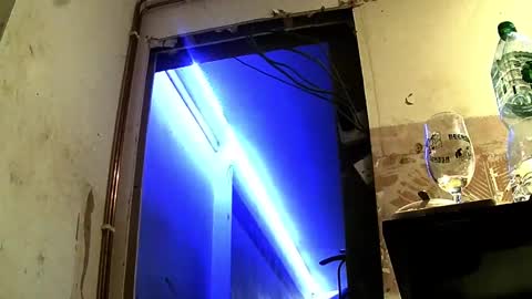 jhkhjku538466 online show from February 2025 04:09:02 AM