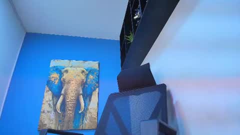GEROGE online show from July 2026 12:42:02 PM